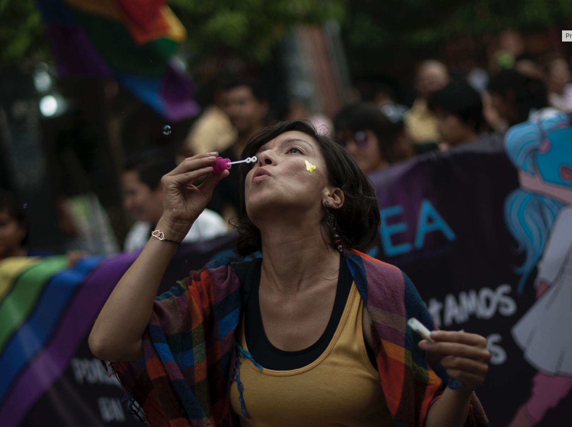 Día de la Visibilidad Lésbica: el reto de romper barreras políticas, deportivas y laborales
