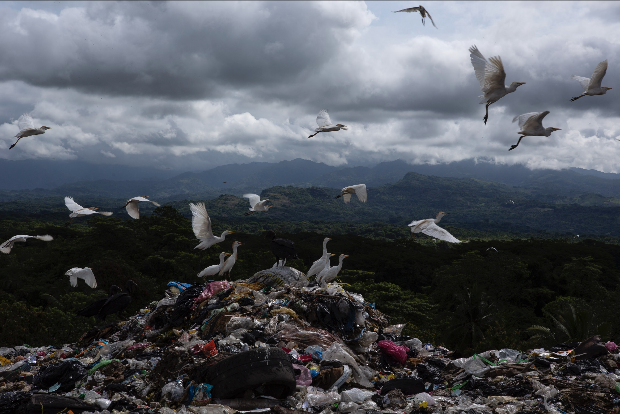 Crónica 1: Los últimos días de la basura a cielo abierto/Estrellas del Sur, una montaña de basura con 3 décadas de existir